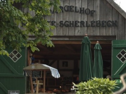 Photo: Spargelhof Schulte-Scherlebeck